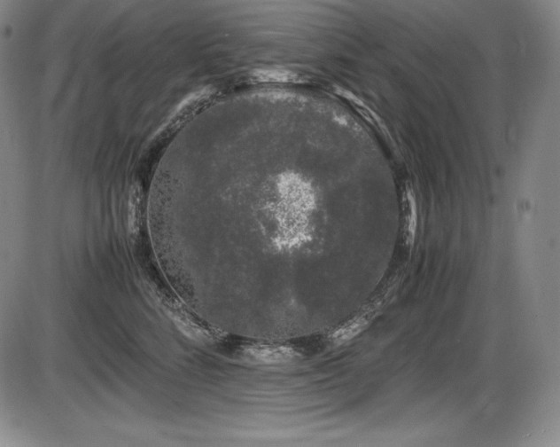 X0000086240712200703291355