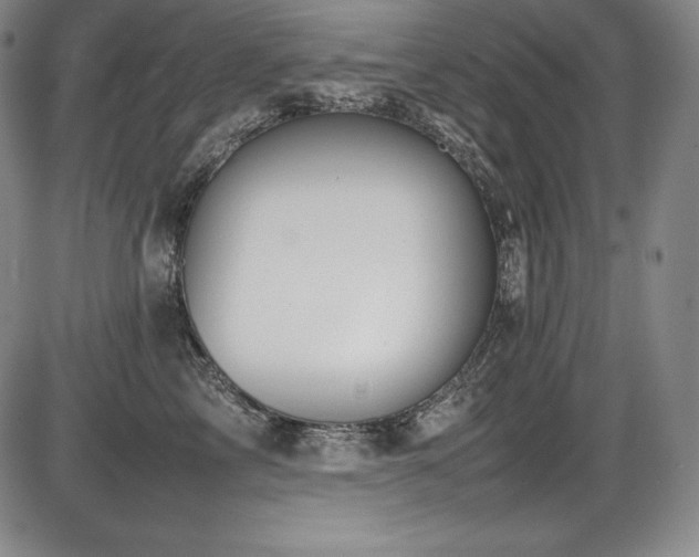 X0000086240713200703291355
