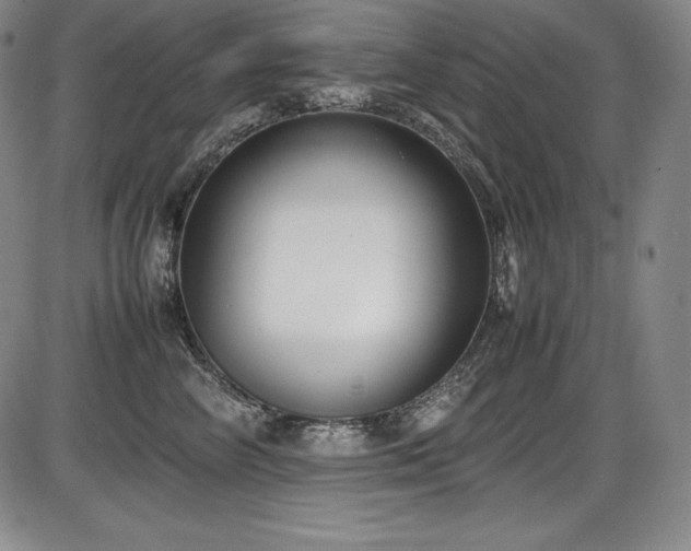 X0000086240714200703291355