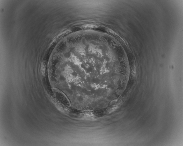 X0000086240715200703291355