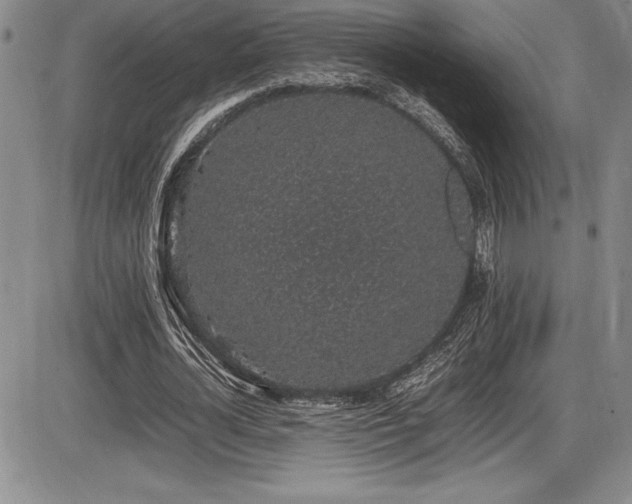 X0000086240724200703291354