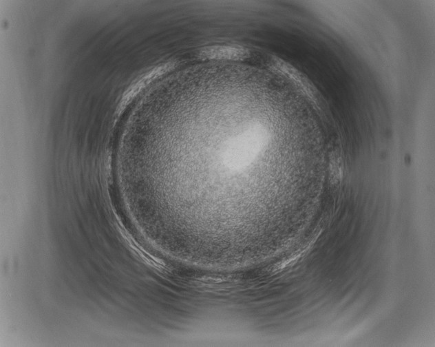 X0000086240725200703291354