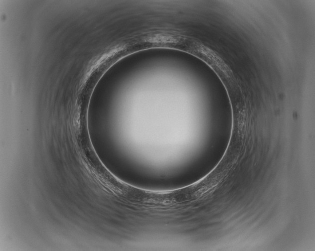 X0000086240727200703291354