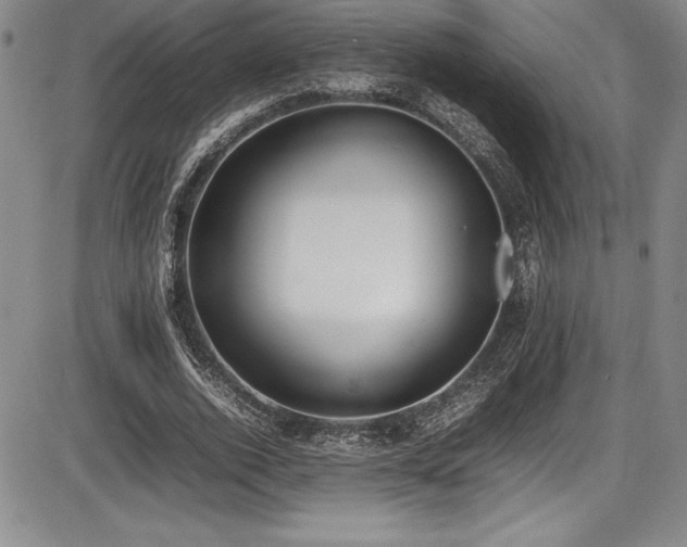 X0000086240728200703291354