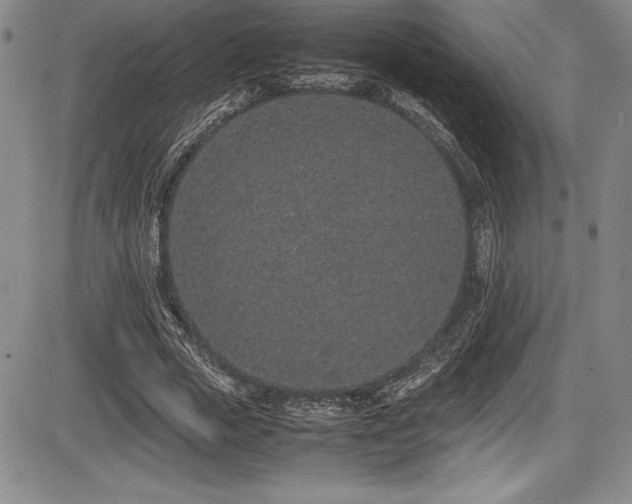 X0000086240729200703291354