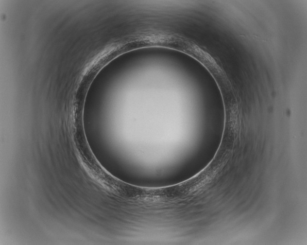 X0000086240730200703291354