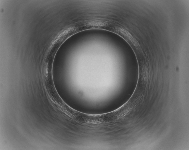 X0000086240731200703291354