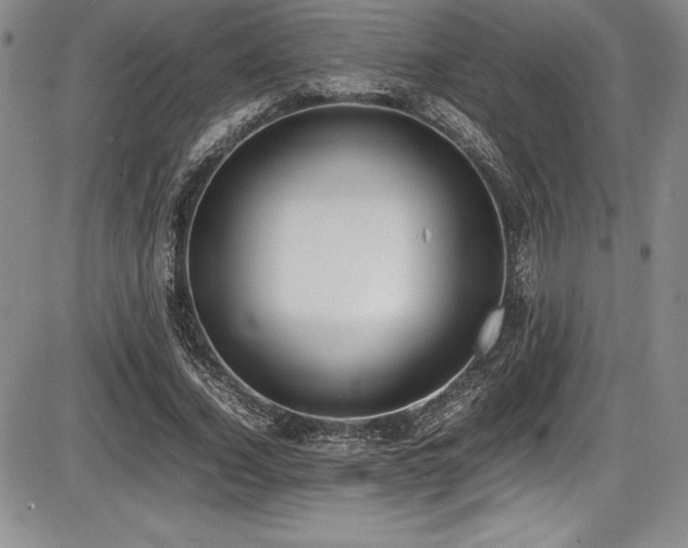 X0000086240732200703291354