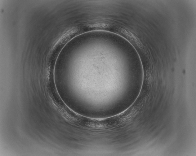 X0000086240735200703291354
