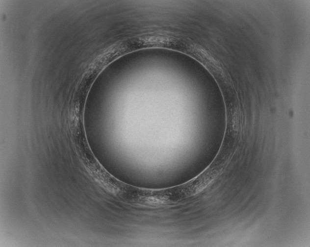 X0000086240737200703291354