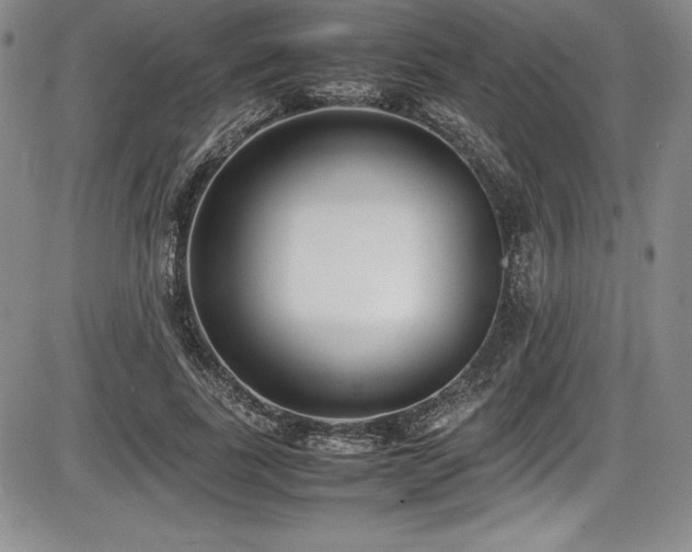 X0000086240739200703291354