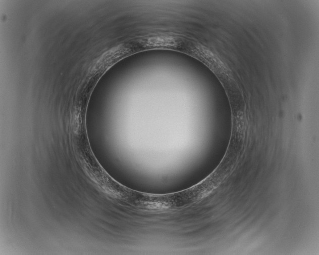 X0000086240741200703291355