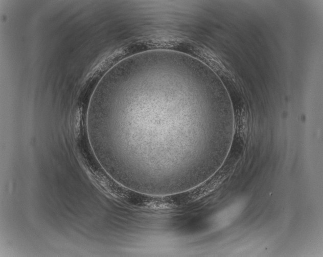 X0000086240742200703291355