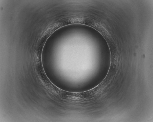 X0000086240743200703291355