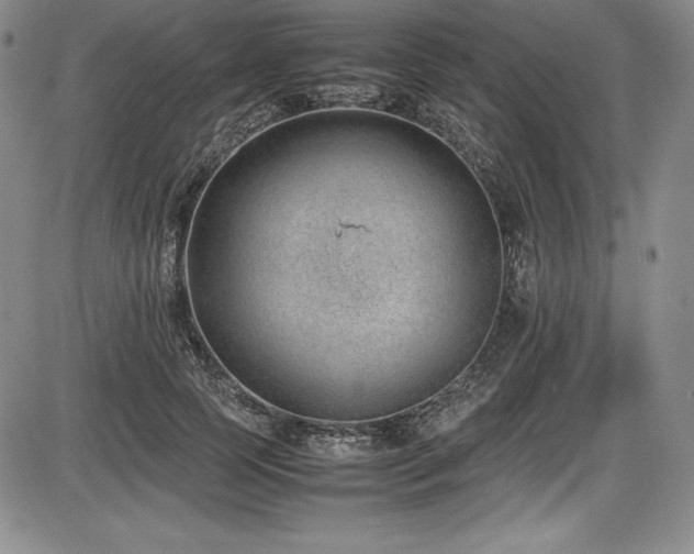 X0000086240745200703291355