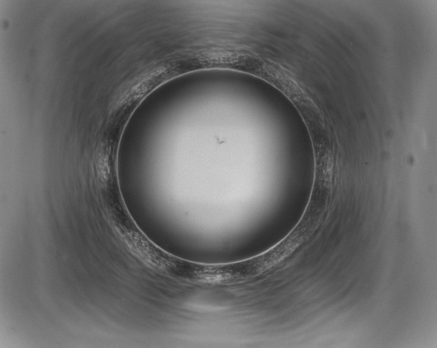 X0000086240746200703291355