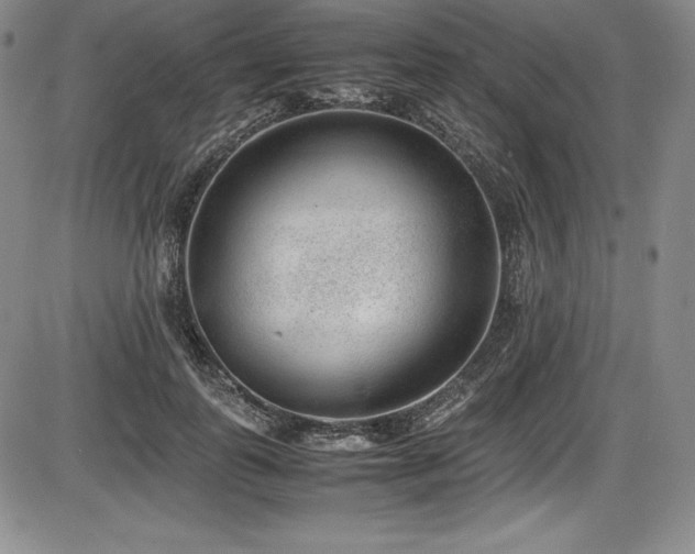 X0000086240747200703291355