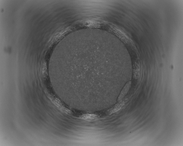X0000086240748200703291355
