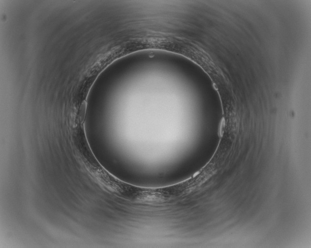 X0000086240750200703291355