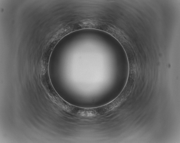 X0000086240751200703291355