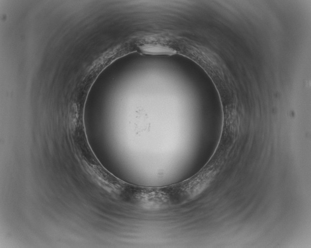 X0000086240752200703291355
