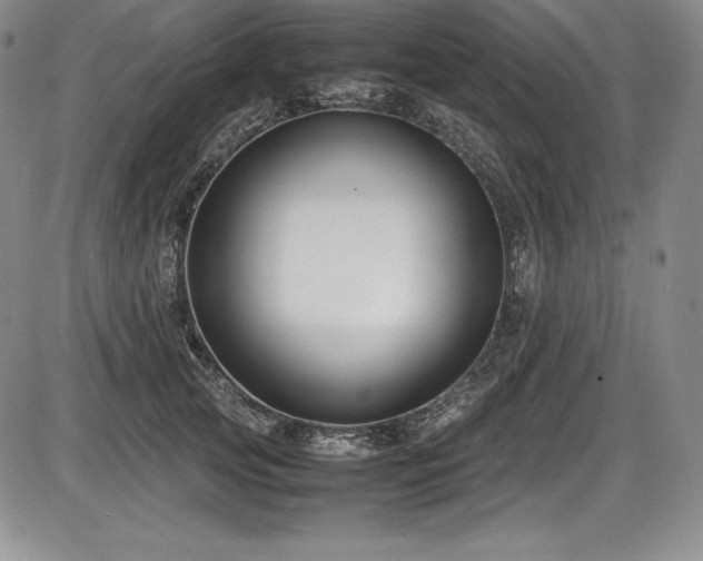 X0000086240753200703291355