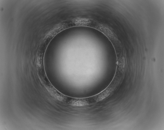 X0000086240755200703291355