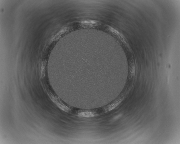 X0000086240759200703291355