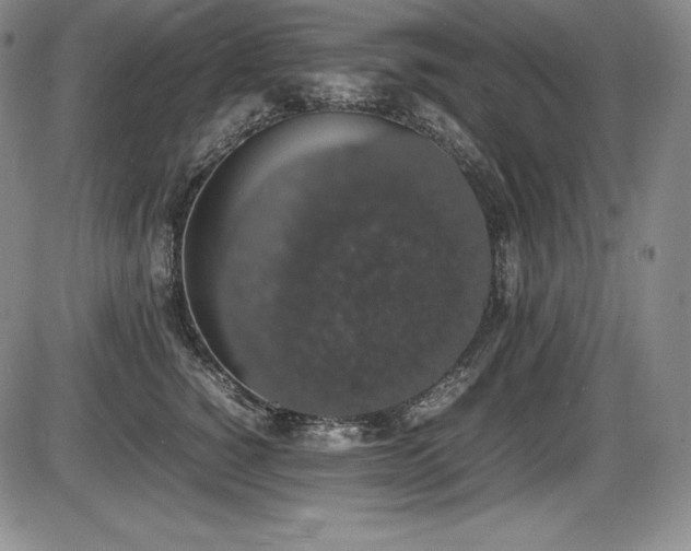 X0000086240760200703291355