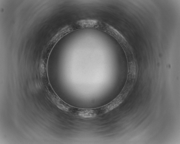 X0000086240761200703291355