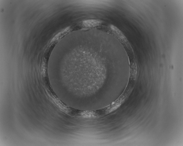 X0000086240762200703291355