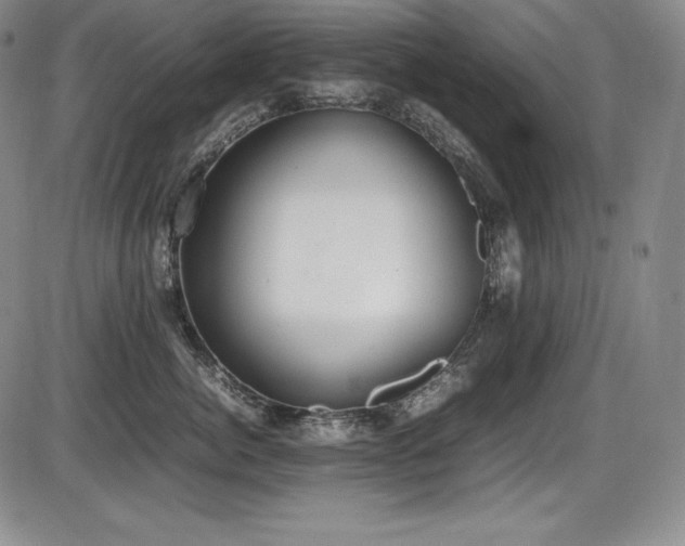 X0000086240764200703291355