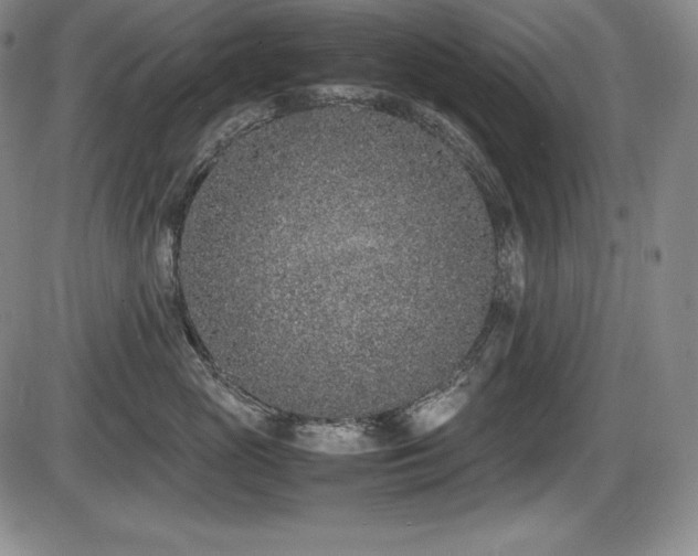 X0000086240765200703291355