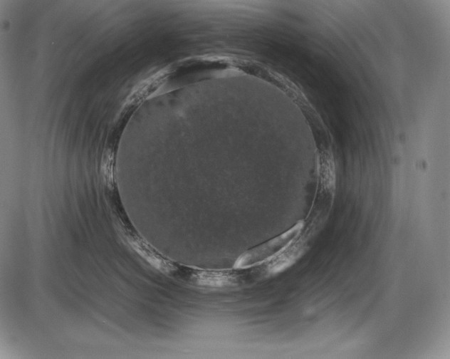 X0000086240766200703291355