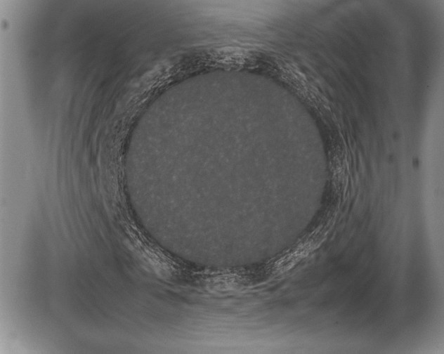 X0000086240769200703291354