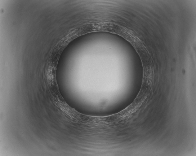 X0000086240770200703291354