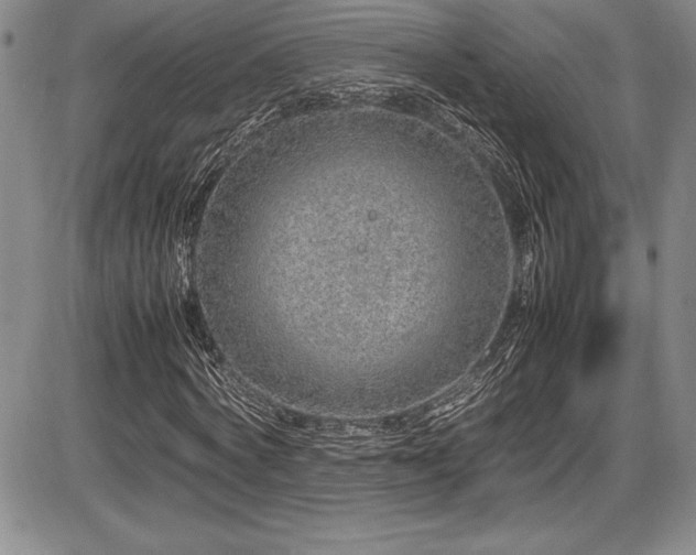 X0000086240772200703291354