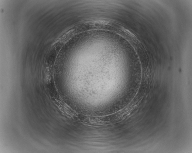 X0000086240774200703291354