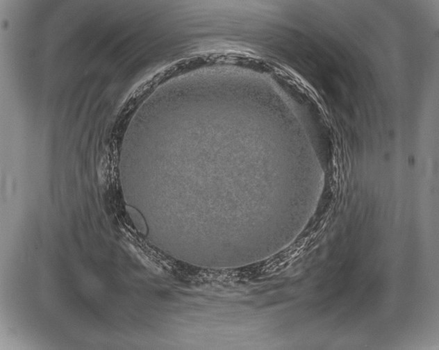 X0000086240775200703291354
