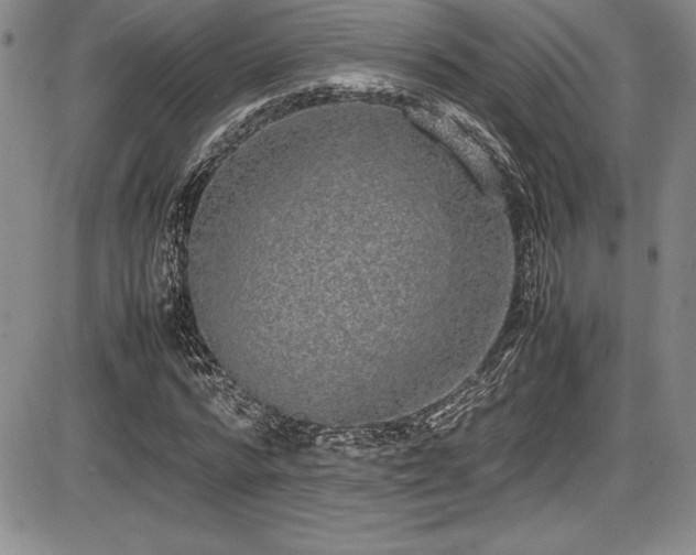 X0000086240776200703291354