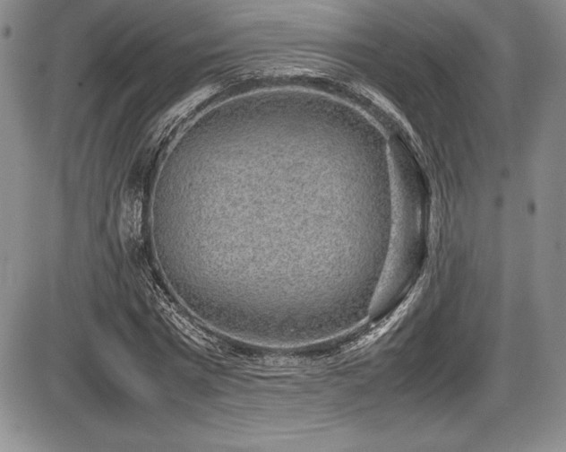 X0000086240777200703291354