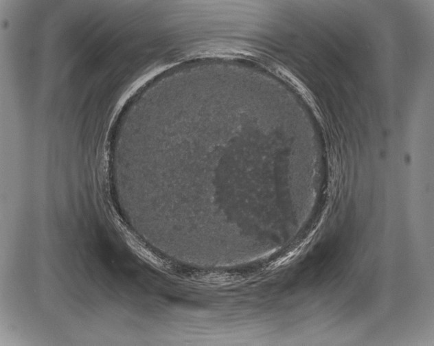 X0000086240779200703291354
