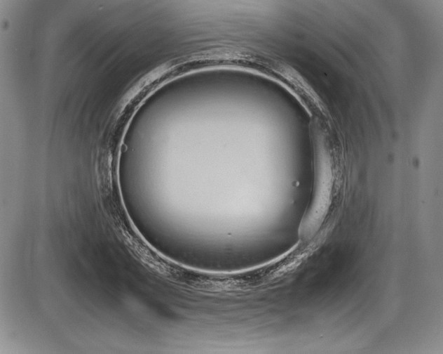 X0000086240781200703291354