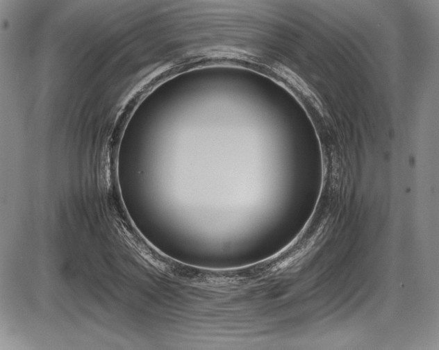 X0000086240782200703291354