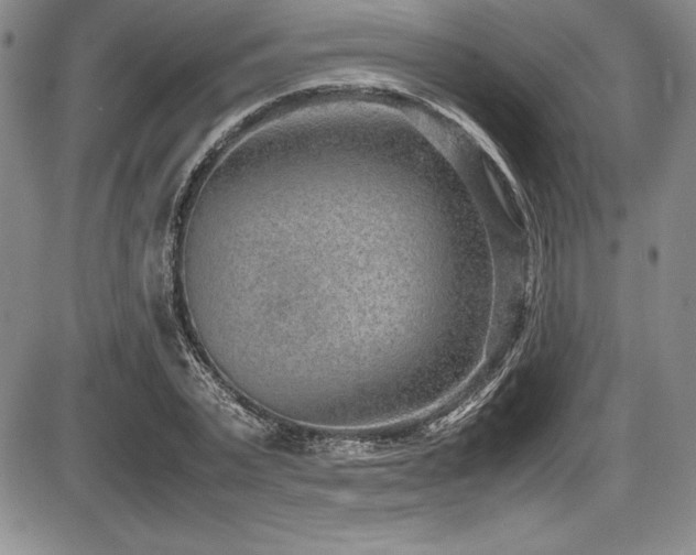 X0000086240783200703291354