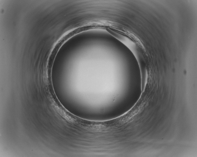 X0000086240784200703291354