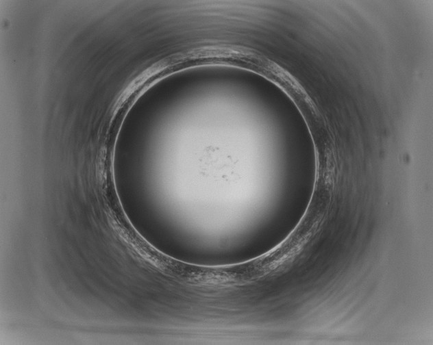 X0000086240786200703291354