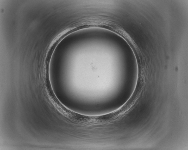 X0000086240787200703291354
