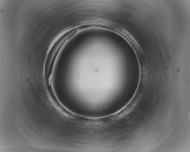 X0000086240788200703291354