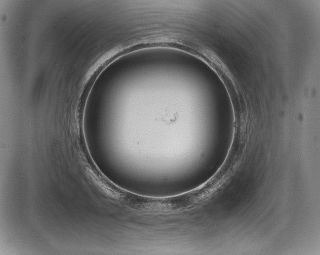 X0000086240789200703291354